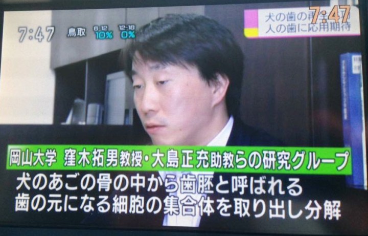 牙齒再生新突破